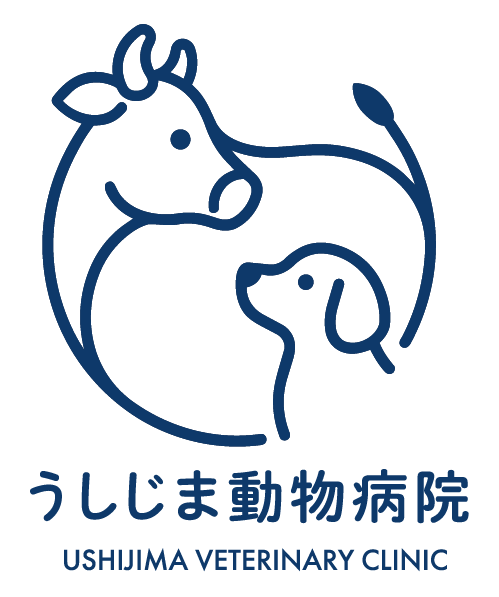 うしじま動物病院