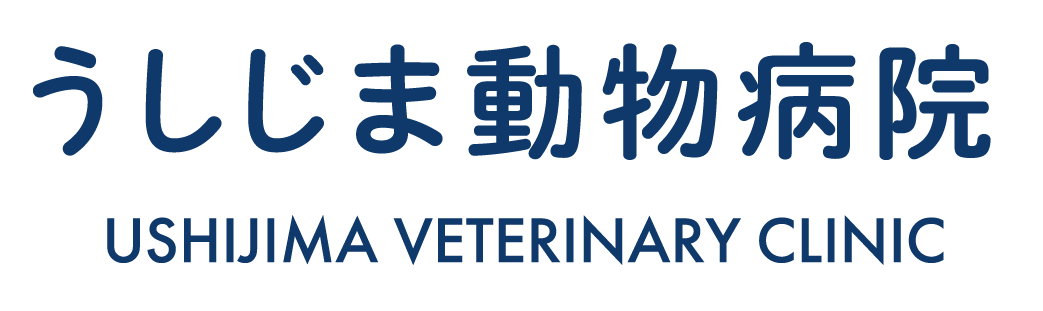 うしじま動物病院